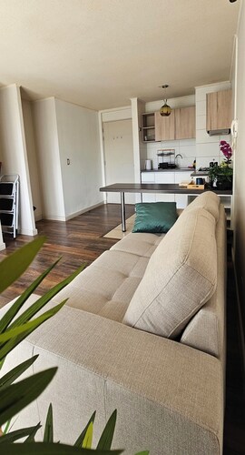 Departamento suite Valdivia