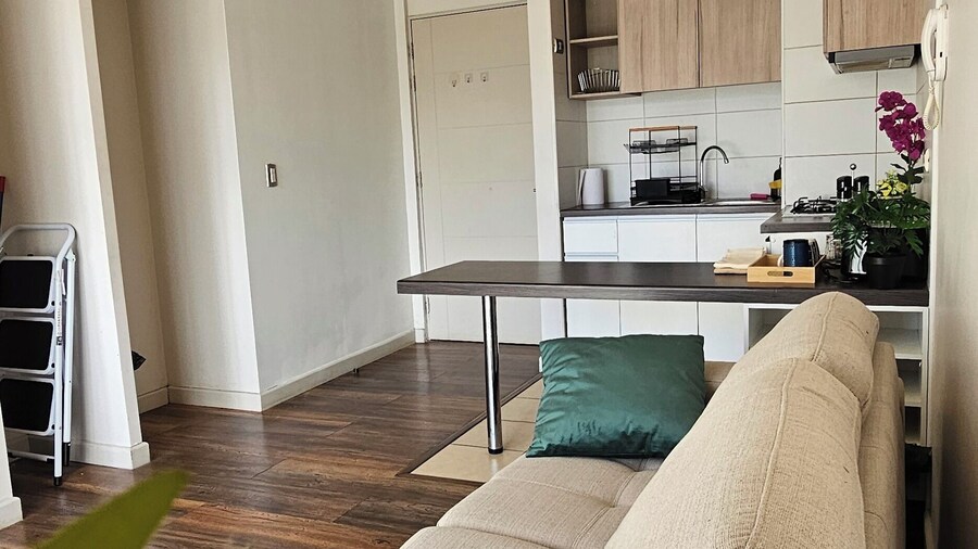 Departamento suite Valdivia
