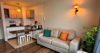 Departamento suite Valdivia