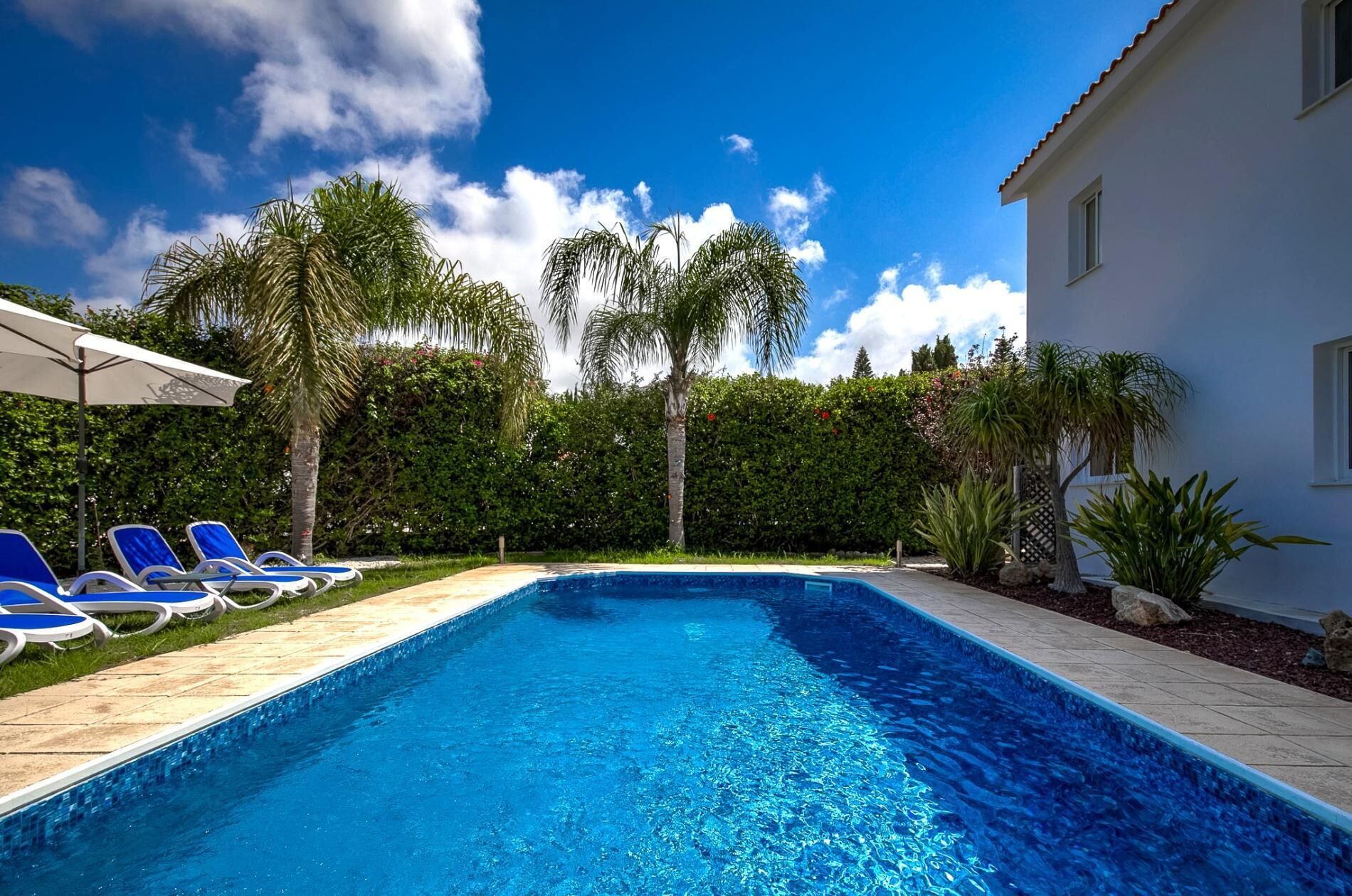 A swimming pool with blue water, surrounded by a white building, palm trees, and a hedge.