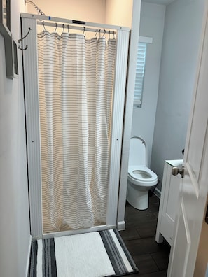A bathroom with a shower curtain, a toilet, and a door.