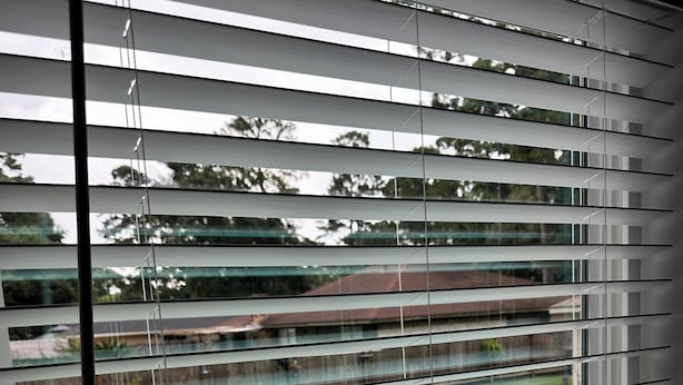 Vista a través de persianas de un jardín, una alberca y un edificio.