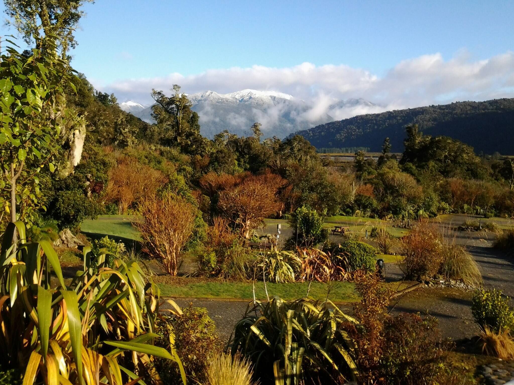 A landscape with a golf course, trees, and mountains in the background.