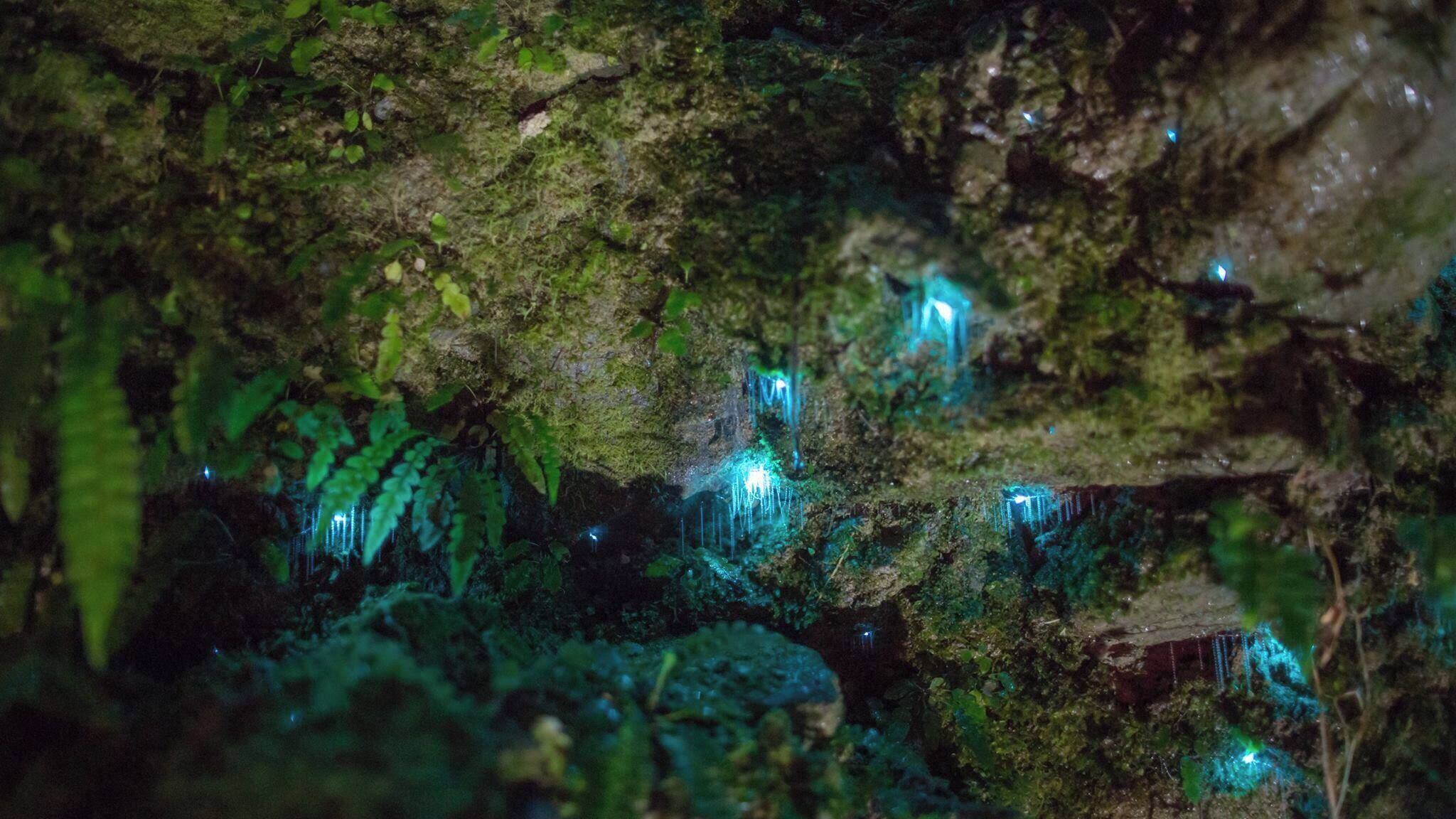 A cave with stalactites and stalagmites, illuminated by artificial lighting.