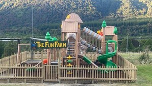 A wooden play structure with a slide and climbing elements, surrounded by a fence, and labeled 'The Fun Farm.'