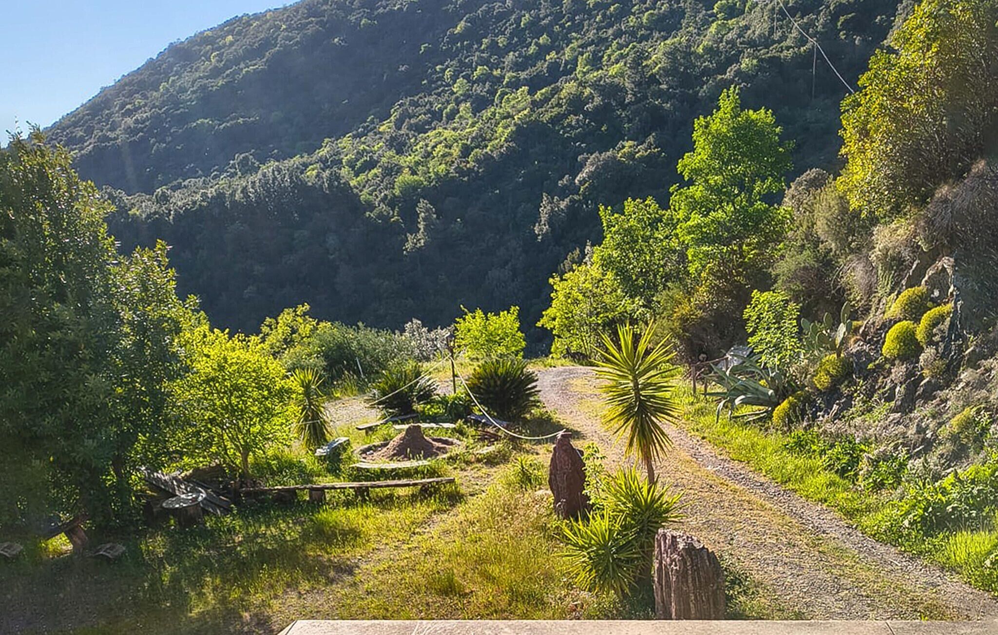 Un paisaje natural con un sendero de tierra, vegetación y una montaña al fondo.