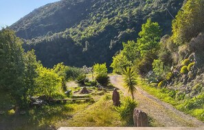Eine natürliche Landschaft mit einem Feldweg, Vegetation und einem Berg im Hintergrund.