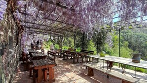 Un espace extérieur aménagé avec des tables et des bancs en bois, abrité par une pergola ornée de fleurs violettes.