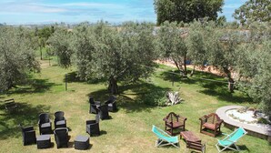 Een terras met stoelen en tafels, omringd door olijfbomen.