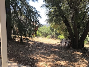 Un espace boisé avec une terrasse en bois et un grand arbre.