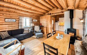 Fernseher, Kamin