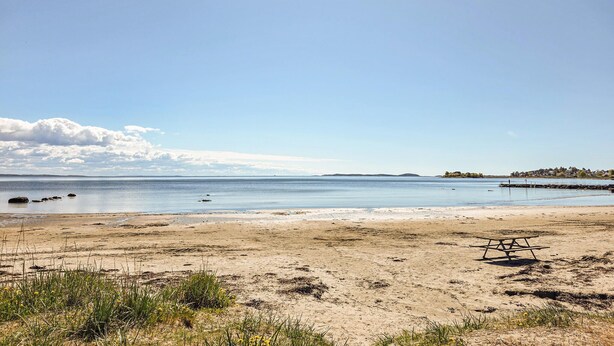 Ein Strand mit einem Picknicktisch und ruhigem Wasser.