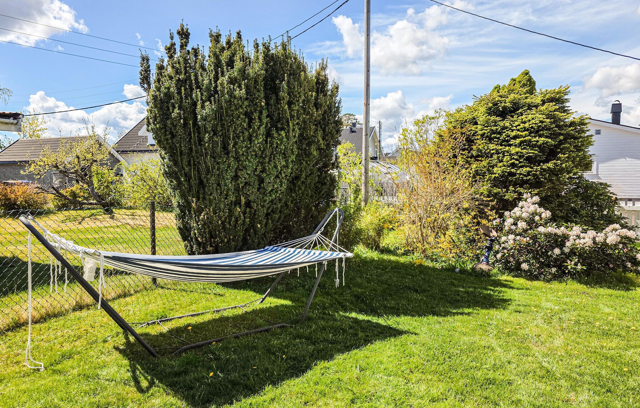 Un hamac dans une cour verdoyante, avec des arbres et une maison en arrière-plan.