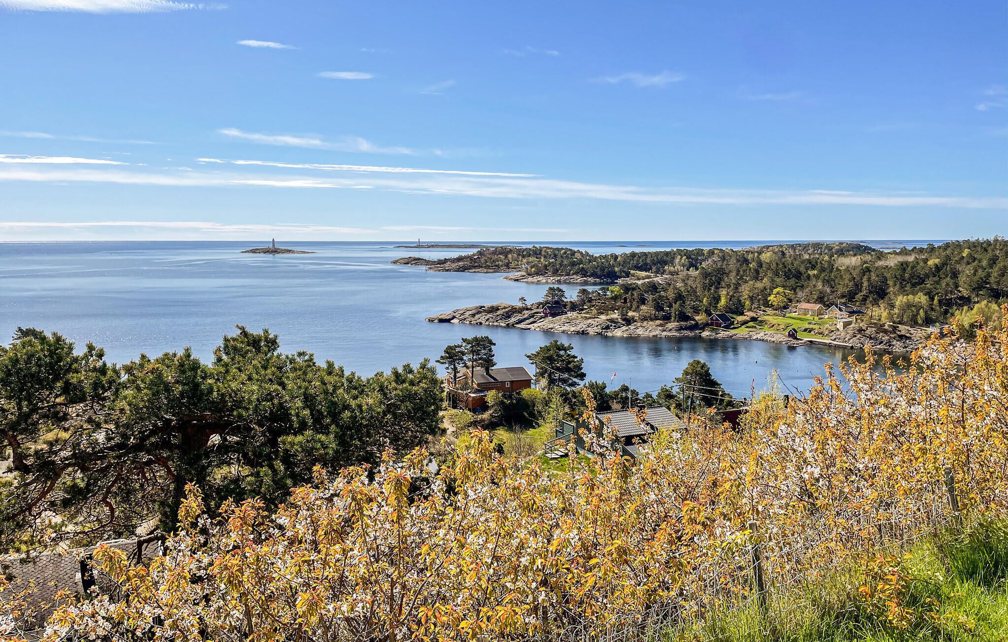 A coastal landscape with a lighthouse, rocky shores, and a small settlement with houses and trees.
