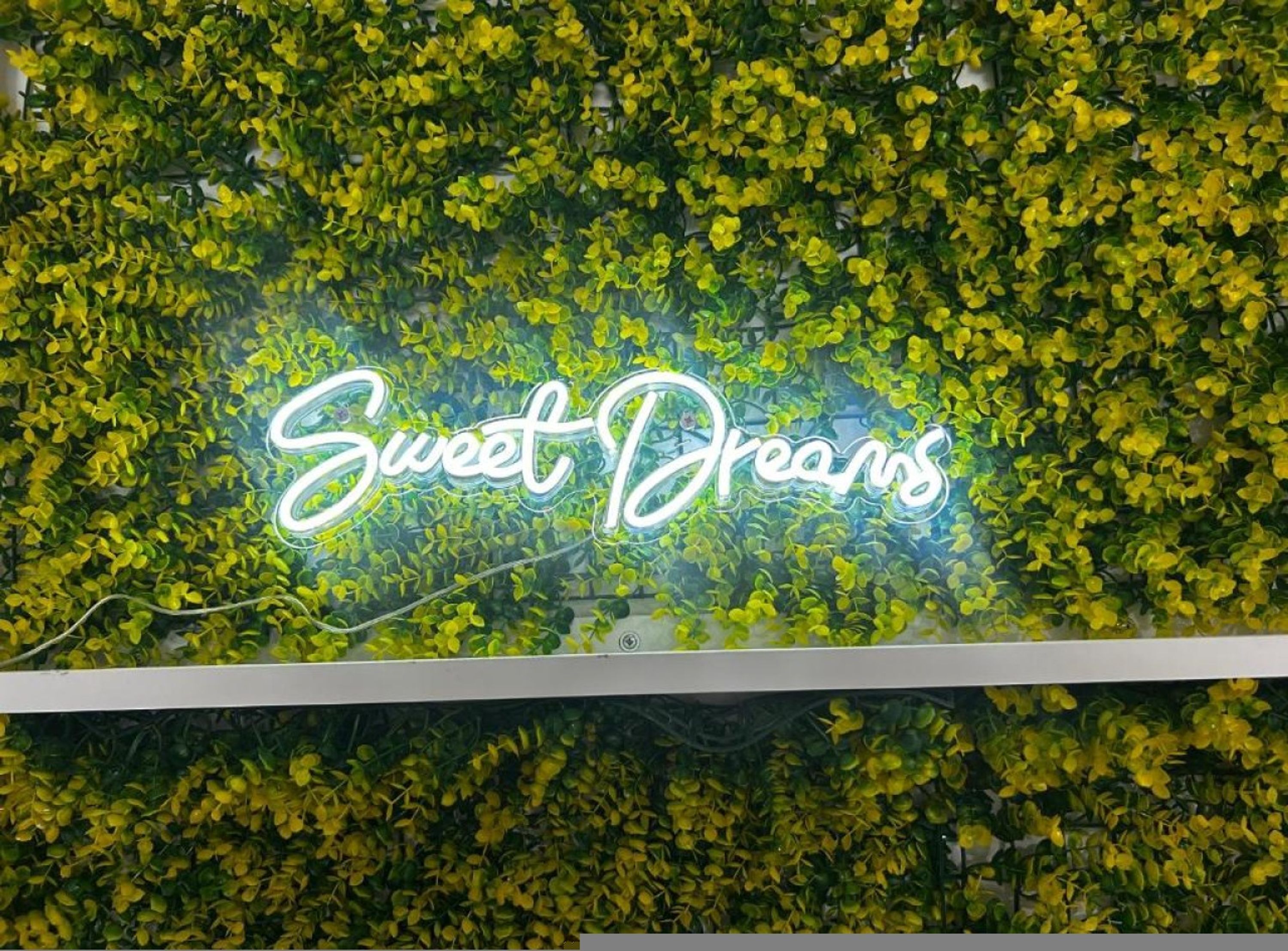 Eine Neonreklame mit der Aufschrift 'Sweet Dreams' vor einer grünen Pflanzenkulisse.