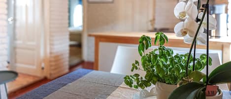 A dining table with a checkered tablecloth, a potted basil plant, a potted orchid, and a small orange.
