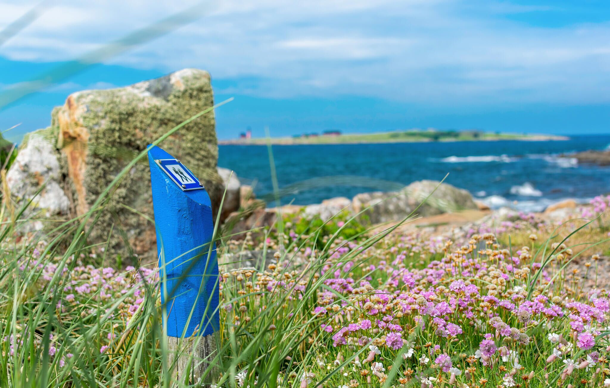 Ein blauer Wegweiser mit Wanderzeichen, umgeben von Wildblumen und einer felsigen Landschaft mit Blick aufs Meer.