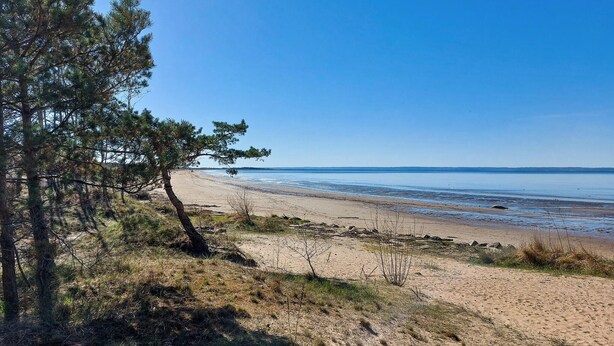 Une plage avec un ciel dégagé, un rivage sablonneux et une végétation clairsemée.