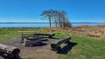 En picknickplats vid sjön med en eldstad, bänkar och utsikt över vattnet.