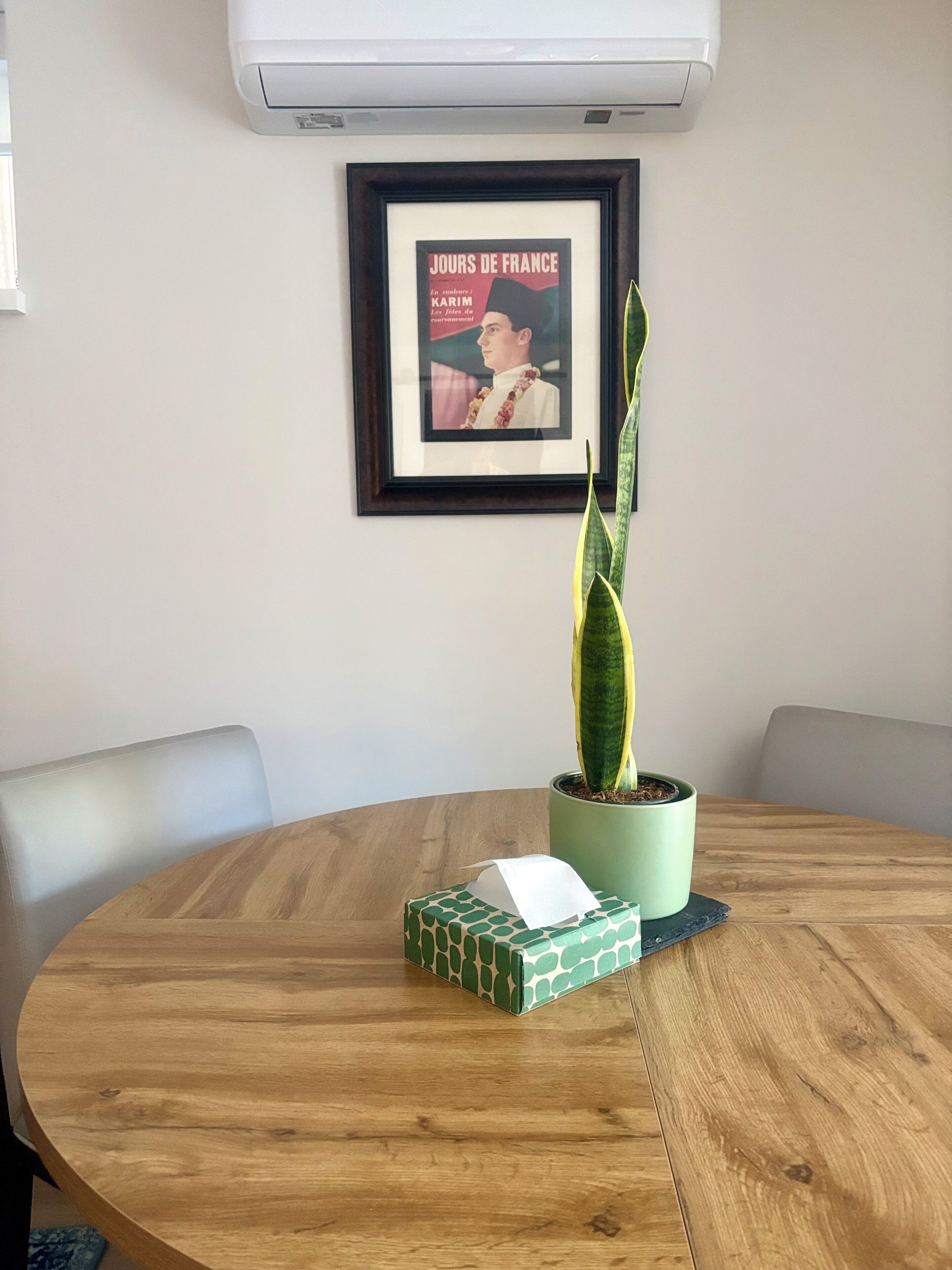 Une table ronde en bois, ornée d’un pot de plante, d’une affiche encadrée et d’une boîte de mouchoirs.