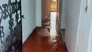 Property grounds - 20 minutes from the center of Salvador. Room for travelers with private bathroom. (Salvador)