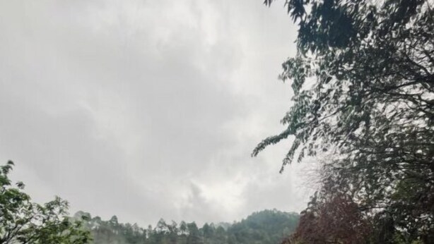 A narrow road flanked by stone walls and vegetation, leading to a building with a red roof. - Peach Farm Stay (Ramgarh)