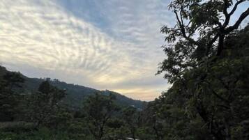 Habitación doble Confort, balcón, vista a la montaña | Áreas de la propiedad