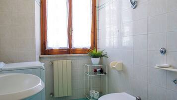 Hair dryer, towels, toilet paper
