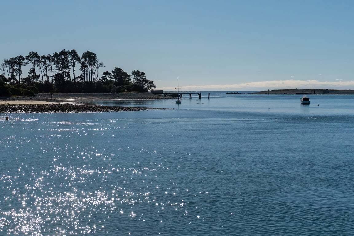 A calm body of water with a pier extending into it, surrounded by trees and a clear sky.