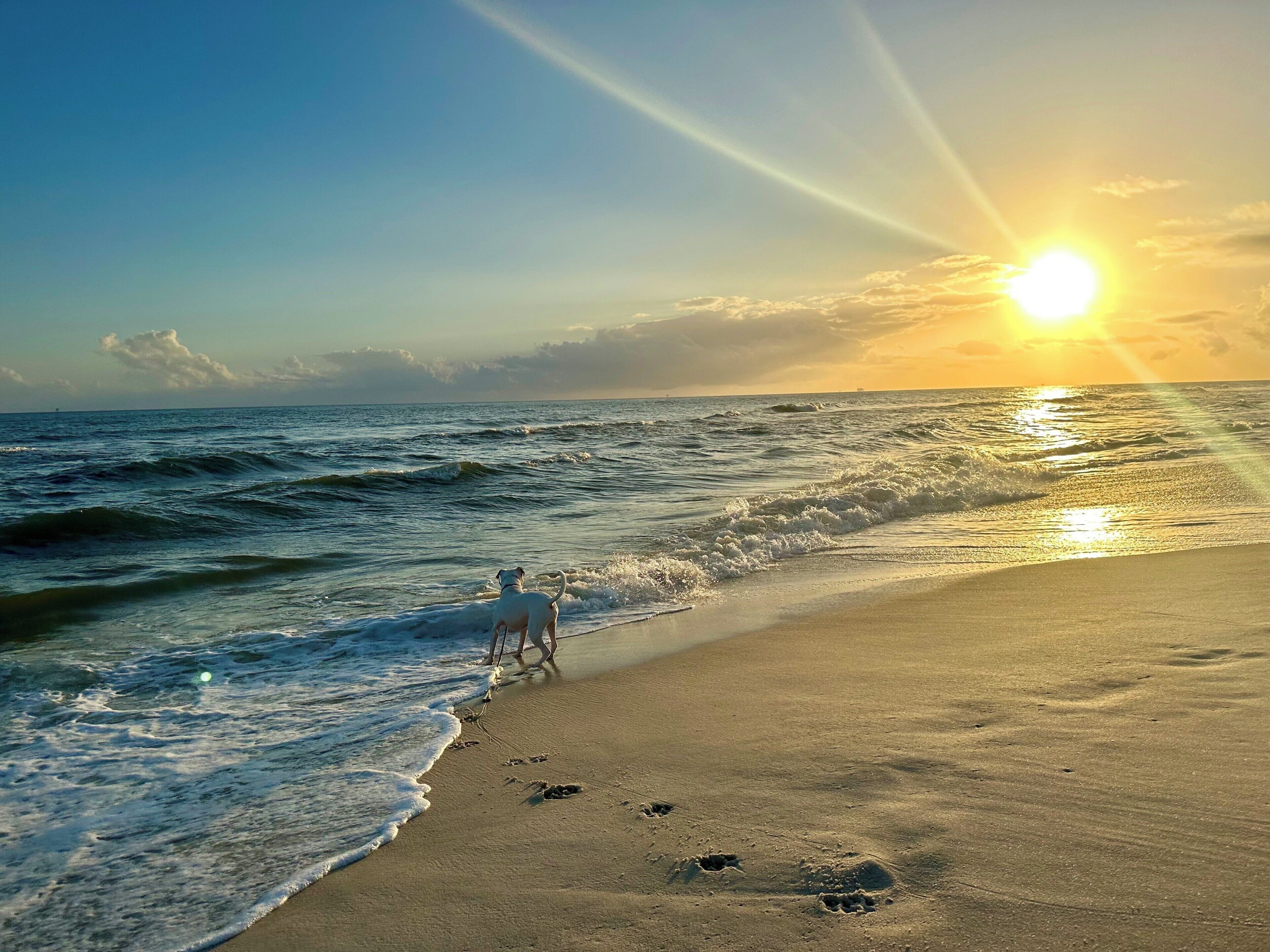 Beach nearby