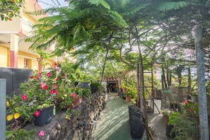 A narrow pathway flanked by potted plants and a stone wall, leading to a covered area with a cat. - Guestready - Luymar La Palma (Villa de Mazo)
