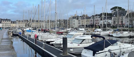 A marina with boats docked, a wooden walkway, and buildings in the background.