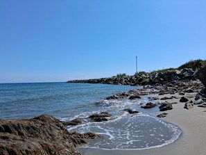 A rocky shoreline with clear blue water, a sandy beach, and a grassy area with a utility pole. - Air-conditioned, secure Laujo house with swimming pool, seafront, Port de Taverna (Santa-Maria-Poggio)