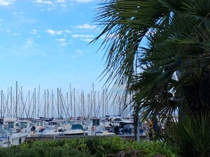 Un puerto deportivo con numerosas embarcaciones amarradas, rodeado de vegetación.