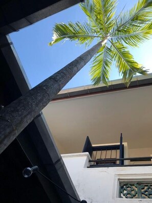 Exterior detail - 97 Yaowarat - Phuket Old Town (Chang Wat Phuket)