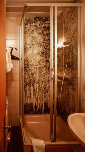 Dusche, Haartrockner, Handtücher