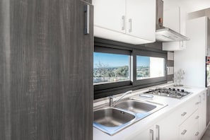Eine moderne Küche mit einem Gasherd, zwei Spülen und einem Fenster mit Blick auf eine Landschaft.