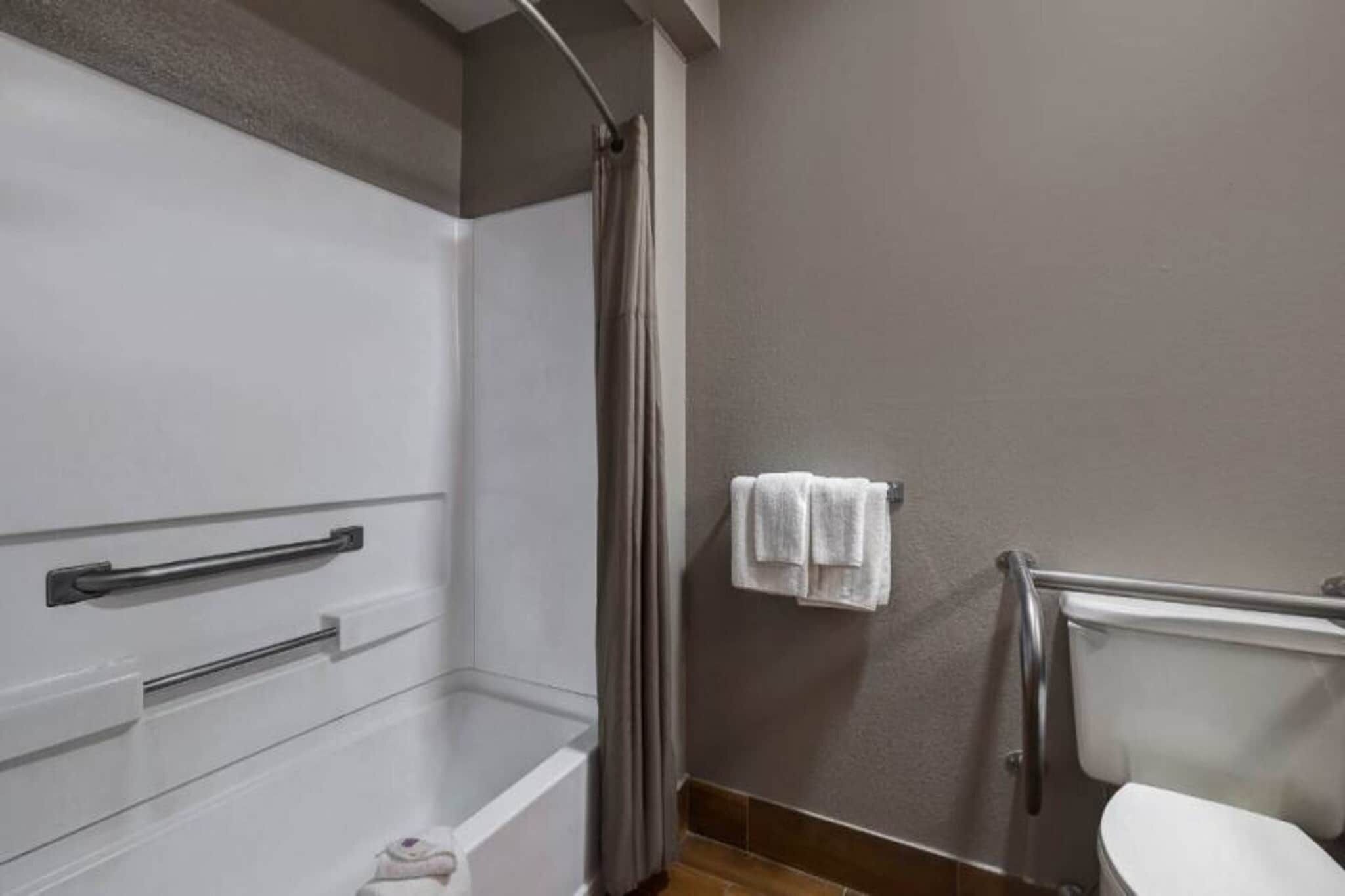 A bathroom with a shower, toilet, and towel rack.