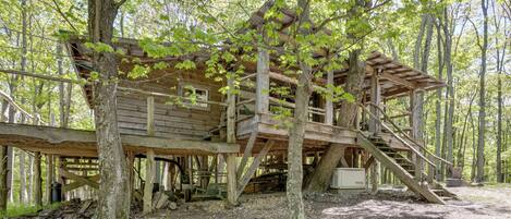 A wooden cabin with a deck, surrounded by trees in a forest.