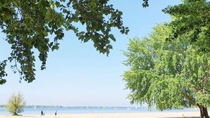 Una playa con un árbol grande, cielo despejado y veleros a lo lejos.