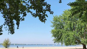 A beach with a clear sky, a tree, and sailboats in the distance. - Luxury Safari Lodge Escape for 5 (Almere)