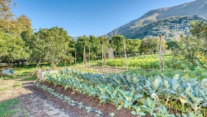 Property grounds - Villa Desiderio The Belvedere (Angri)
