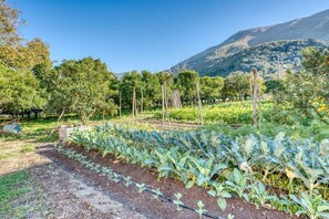 Property grounds - Villa Desiderio The Belvedere (Angri)
