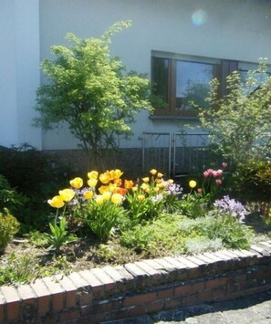 A garden with various flowers and a building in the background. - Holiday apartment with 2 bedrooms (Merzig-Bietzen)