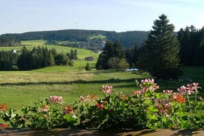 Ländliche Landschaft mit einem Haus, Bäumen und einer Windkraftanlage in der Ferne.