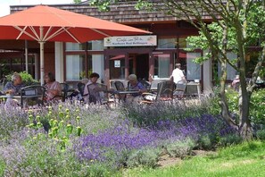 Ein Café mit Außenbestuhlung, umgeben von einem Garten mit Lavendel und anderen Pflanzen.