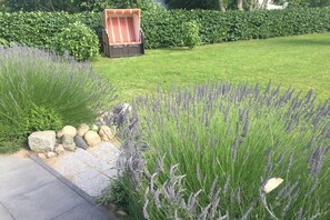 A garden with a lawn, lavender plants, a wooden bench, and a hedge. - Holiday home in Zierow with swimming pool (Zierow)