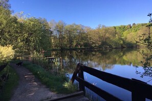 A wooden bench overlooking a calm lake, surrounded by lush greenery and trees. - Holiday apartment with 1 bedroom (Farchau)