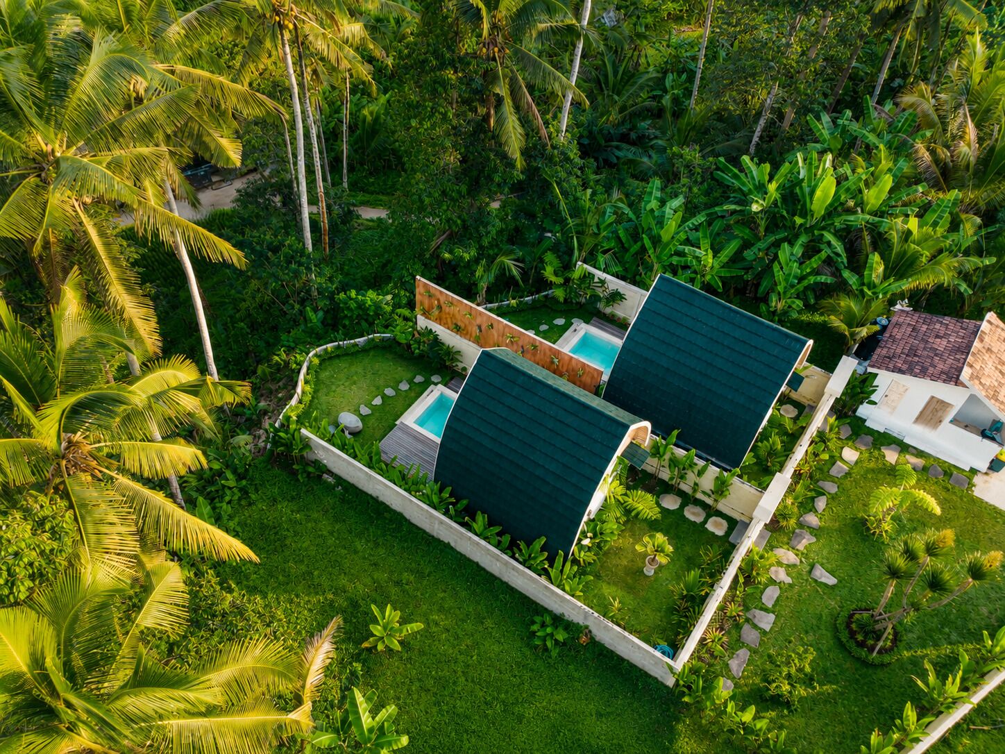 A modern house with a swimming pool, surrounded by lush tropical vegetation.