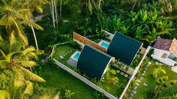 A modern house with a swimming pool, surrounded by lush tropical vegetation.
